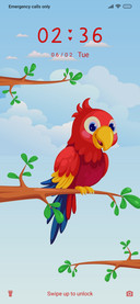 Parrot_3MDP