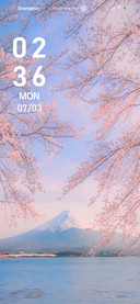 sakura
