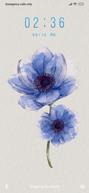 Flower_3MDP