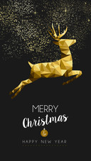 Merry Christmas and Happy Holiday!