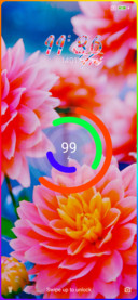 Mio Flower
