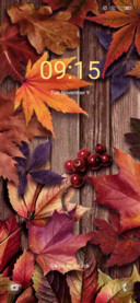 Autumn scenery
