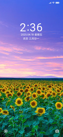 唯美清新向日葵