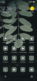 Grey Leaf