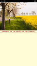 Spring Flower