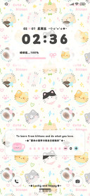 小猫乖乖