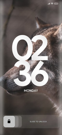 Wolf_One