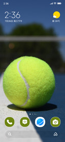 Golden Serve