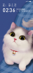 摸摸我的小猫咪