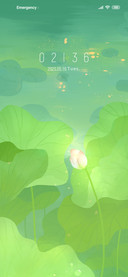 lotus flowers