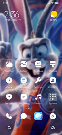 Basketball rabbit