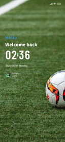 Sports_Soccer