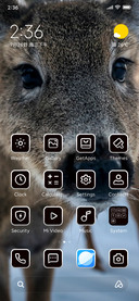 Deer
