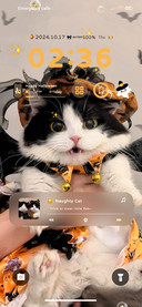 Cute Halloween cat