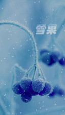 雪果