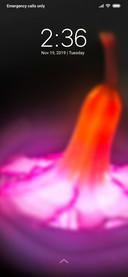 Bright Flower_DWM3