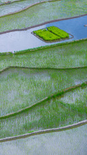 Beautiful Terraces
