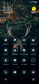 Black Mist