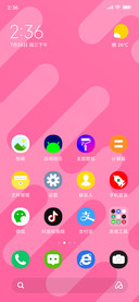 Pinky_DWM19