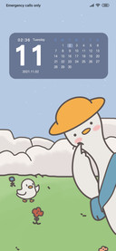 Tourist duck