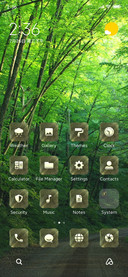 Forest