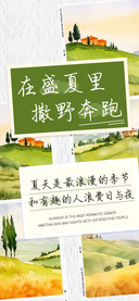 在盛夏里撒野奔跑