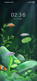 Lucky+aquarium