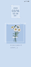 淡雅小雏菊