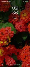 Lantana_3MDS