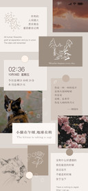 文艺猫猫贴纸