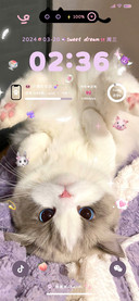 多换图 芋泥味小猫