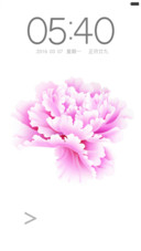 牡丹花开（好评返现）