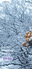 Roof snow