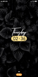 Black Roses_DWM19