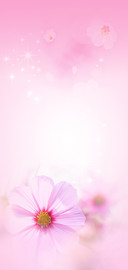 爱你一万年