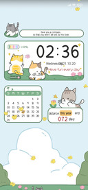 Cat Daily