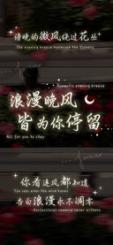 浪漫晚风皆为你停留