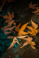 omid-armin-txGfM-ukpX0-unsplash