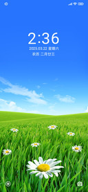 草地上清新的花