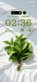 柚子叶日薪月亿