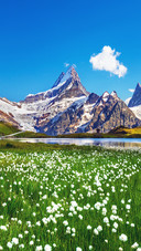 Scenery  (19)