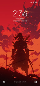 shogun