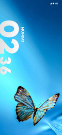 Blue Wings