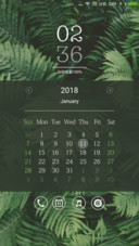 静谧丛林