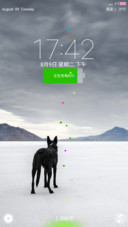 【轻+简】Wolf 