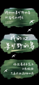 我的心是旷野的鸟