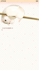 仓鼠君的幸福季（抢红包.多锁屏）