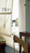 猫咪
