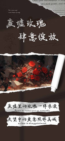 废墟玫瑰肆意绽放