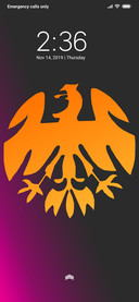 Bird_DWM3
